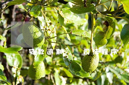 贷款逾期  司法程序